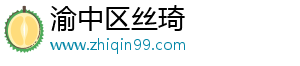 渝中区丝琦